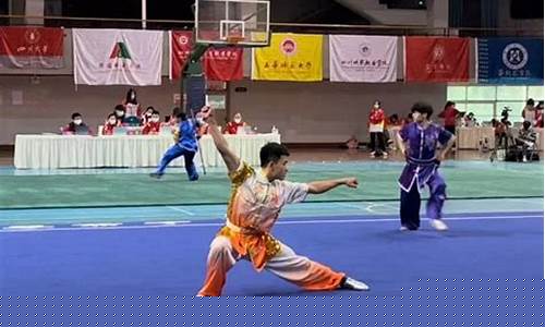 四川省武术国家队-四川省武术冠军