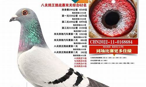 05季后赛火箭vs小牛g1-05季后赛火