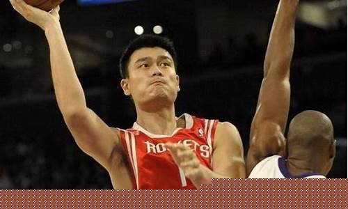 有关姚明在篮球方面的故事-姚明在nba的