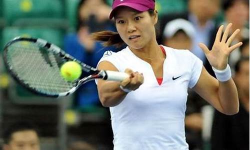 李娜哪年退出国家队-李娜为什么退出国家队