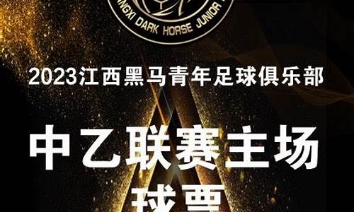 江西联盛踢过中超吗-江西联盛中乙联赛程表
