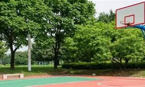 吉林市哪里能打篮球-吉林市哪里有篮球馆