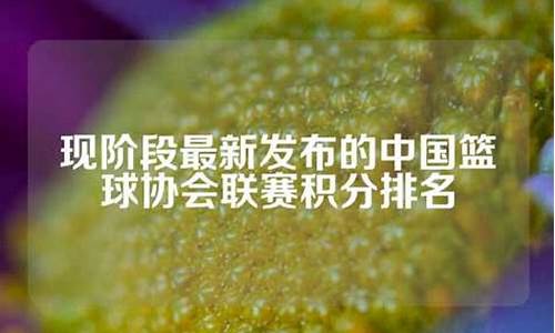 中国篮球联赛最新积分榜-中国篮球联赛最新