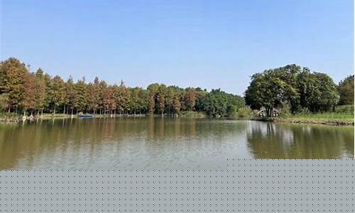 浙江男篮台湾球员-浙江篮球外援台湾