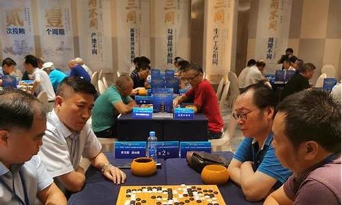 第十届江西省围棋联赛-第十届江西省围棋联赛成绩