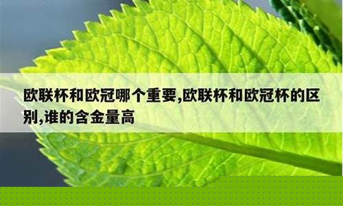 国王杯冠军能打欧冠吗-国王杯和欧冠谁重要