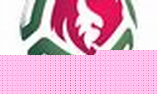 俄罗斯u21联赛赛程-俄罗斯u20联赛积分榜