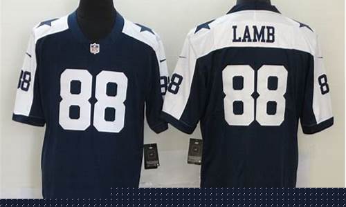 nfl季后赛外卡-nfl 季后赛
