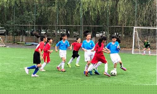 大球联赛和小球联赛-大球联赛和小球联赛哪个好