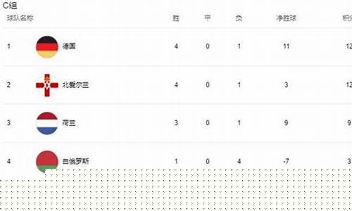 荷兰已级联赛积分-荷兰足球联赛有几级