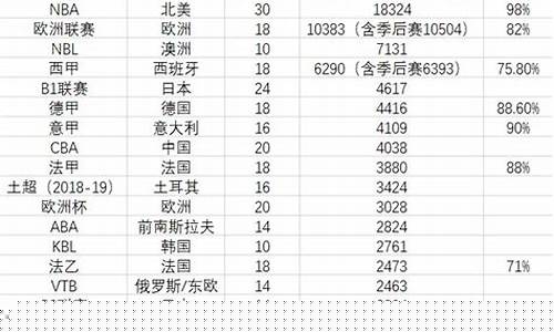夏季篮球比赛-篮球夏季联赛统计