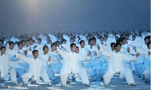 北京奥运会太极拳-北京奥运会太极拳女子比赛冠军视频