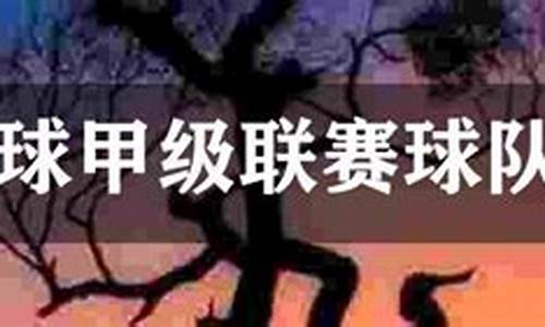 巴西有什么联赛-巴西联赛球队有哪些