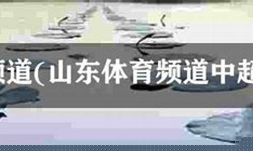 山东体育频道中超联赛第27上海申花-山东体育频道中超联赛