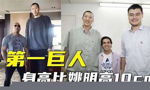 篮球队有没有比姚明高的-nba里比姚明高的人